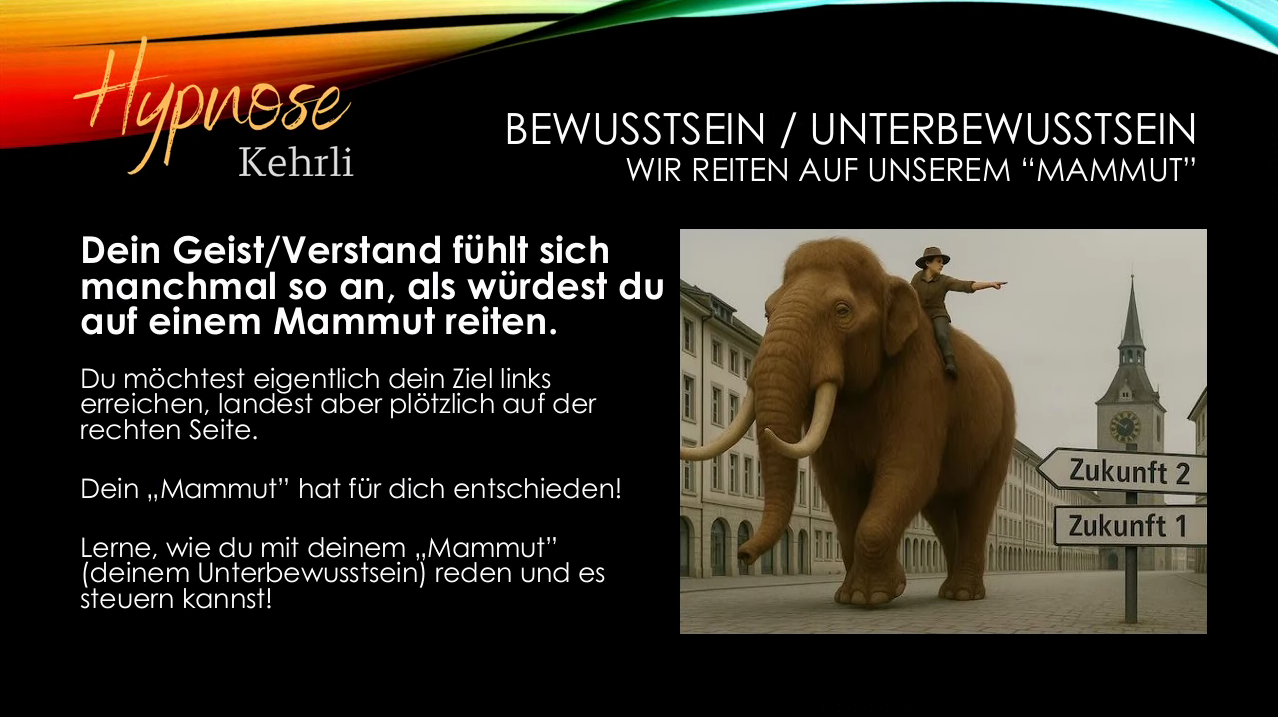 Reiter&Mammut